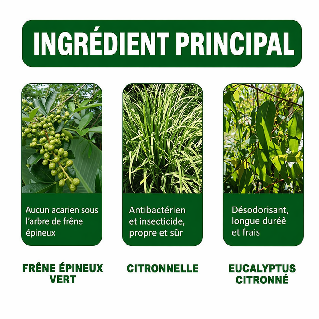 Spray Insecticide Anti-Acariens – Dormez Enfin Serein Tik